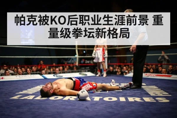 帕克被KO后职业生涯前景 重量级拳坛新格局