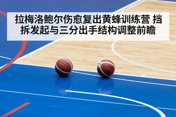 拉梅洛鲍尔伤愈复出黄蜂训练营 挡拆发起与三分出手结构调整前瞻